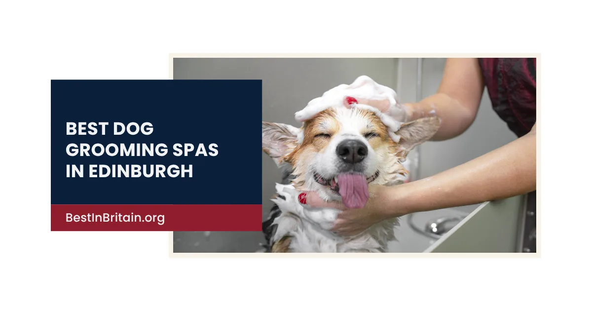 The 4 best dog grooming salons in Edinburgh