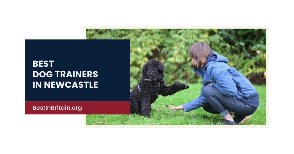 The 4 best dog trainers in Newcastle