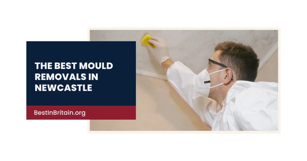 The 4 best mould removal services in Newcastle