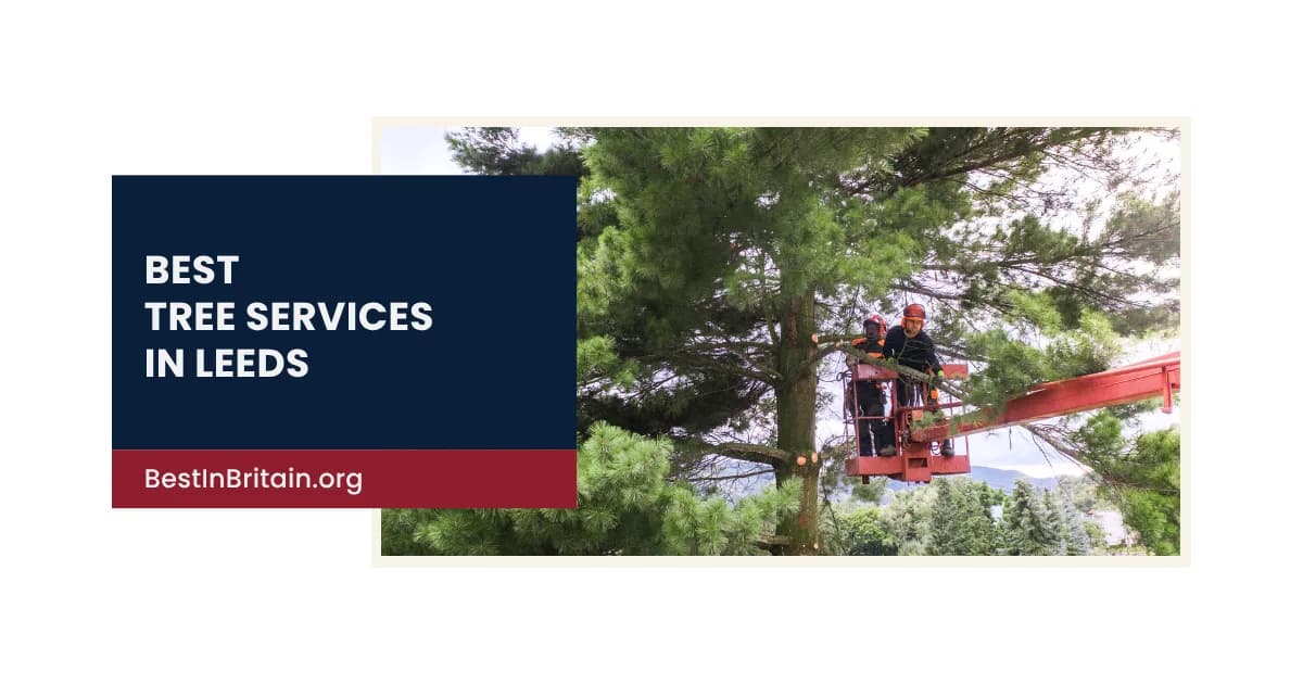 4 of the best tree services in Leeds