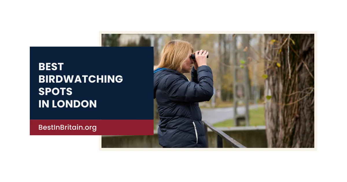 8 Birdwatching Spots In And Around Glasgow Worth Visiting